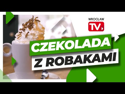 Skosztuj czekolady z posypką z larw robaków | Wrocław TV