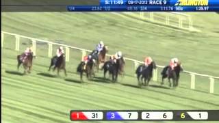 2013 Beverly D. Stakes - Dank