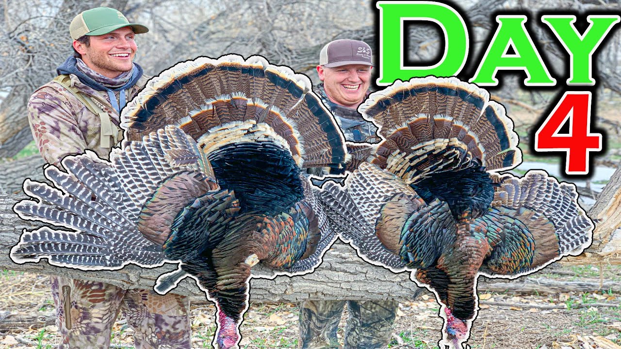 Spring Turkey Hunting COLORADO OPENING DAY DOUBLE! RTH Day 4 YouTube