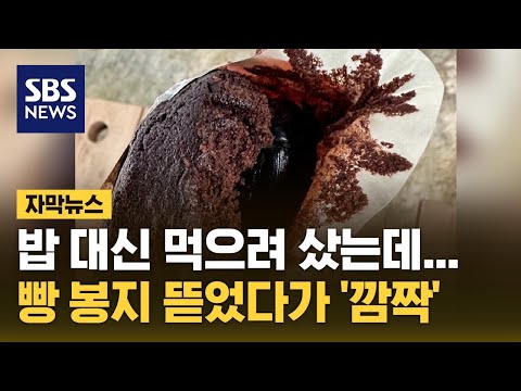   밥 대신 먹으려 샀는데 빵 봉지 뜯었다가 깜짝 자막뉴스 SBS