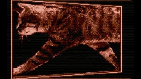 Old Amiga Demos 1987 part 1