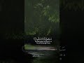 تبت يدا أبي لهب وتب سورة المسد