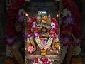 ప్రాణము నీవని గానమే మీదని 🙏🌺🌿#omnamahshivaya#trendingvideo#trendingshorts#youtube#viralsong#bhakti