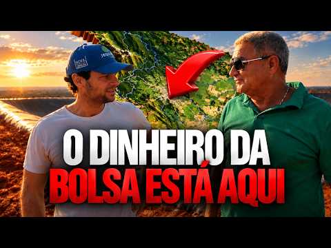 Stock market money is funding this in Mato Grosso