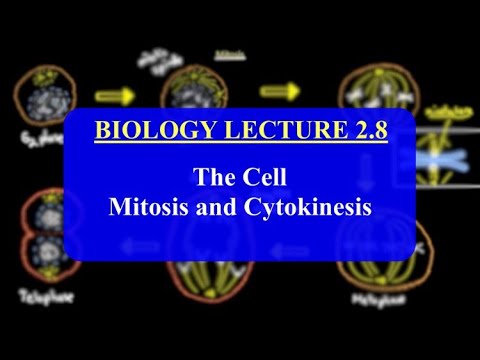 IMAT Biology Lesson 2.8 | The Cell | Mitosis & Cytokinesis