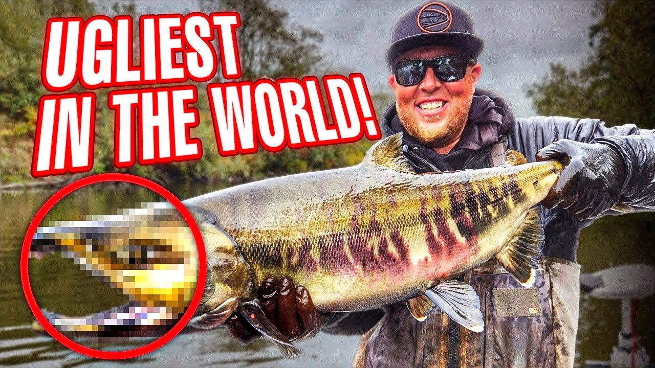 Bobber DOWNS Catching The UGLIEST Salmon In The WORLD! 