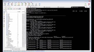 Pure Storage Instantaneous SAP ECC System Copy