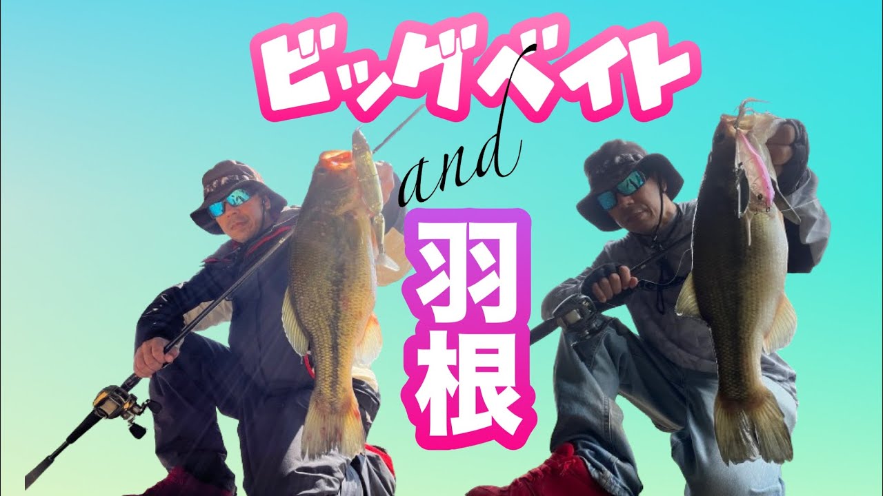【バス釣り】　ブラックバス　タイニークラッシュ　火蓮　ダッジ　チビタレル　blackbass  2023年の羽根ものとビッグベイトのヒットシーン編集。