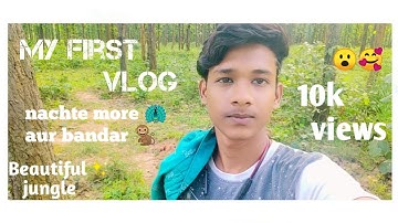 My first vlog || My first video || rj vlogs✨ || Ramgarh beautiful✨ place 🤞🥰 9 AUGUST 2022