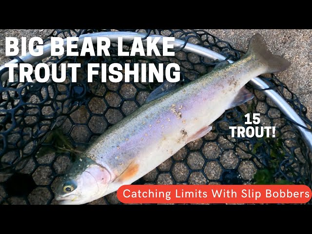 Catching Trout at Big Bear Lake with Slip Bobber and PowerBait 