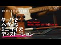 PBA No.32 One Control REBEL RED DISTORTION 4K | Sakamoto Natsuki