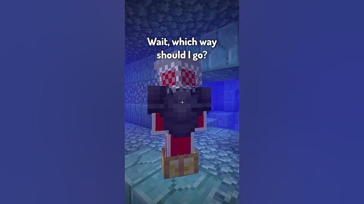 Types of Minecraft Players in the Ocean Monument
