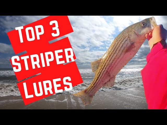 Top 3 Striped Bass Lures you MUST Have - Backwater Striped Bass Fishing 