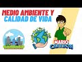 El Medio Ambiente y la Calidad de Vida