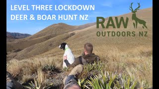 LEVEL THREE DEER AND BOAR HUNT NZ