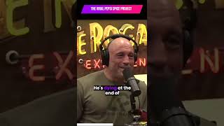 the viral pepsi spice project