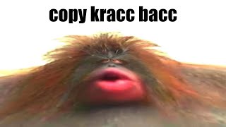 Youtube Memes Slander