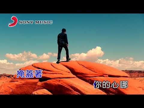 柯智棠 你不真的想流浪 (Official Video Karaoke)