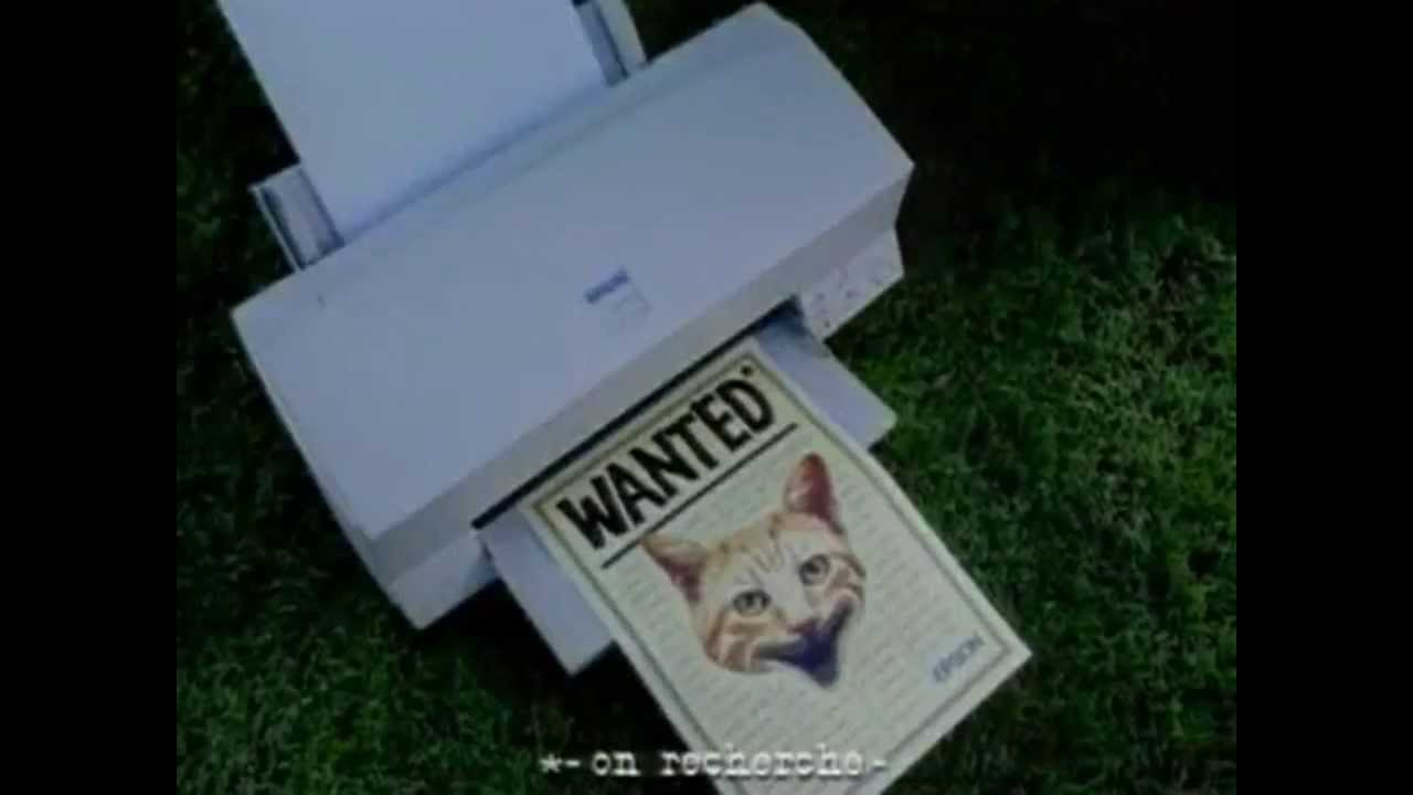 Epson - Chien vs chat - YouTube