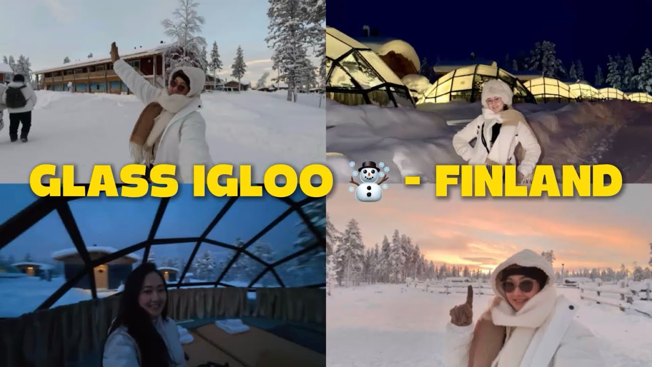 DAY 3 Finland 🇫🇮 | Reindeer Sledge dibawah langit Finland yg cantik 🌄🦌