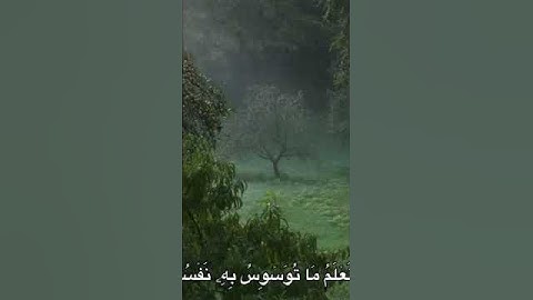 ما تيسر من سوره ق #قرأن #اكسبلور #صلى_ع_النبى #ستوريات_دينية