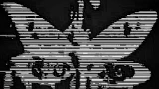 insects - darko us [live vocal cover]