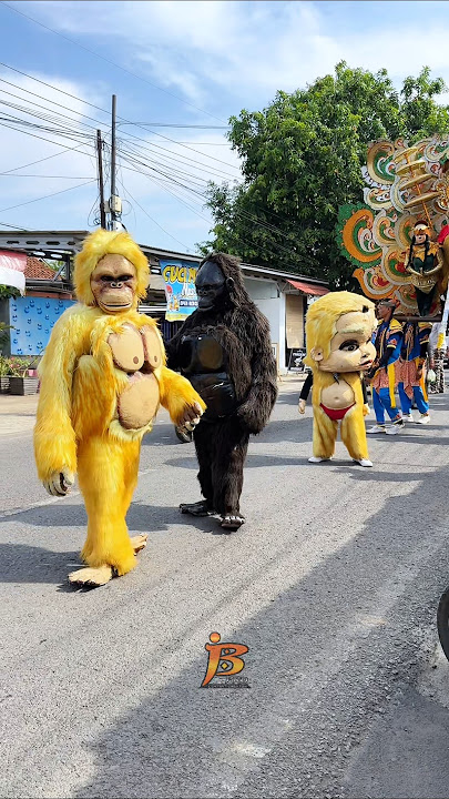 ADA NANANG COKY & KING KONG KEMBAR #monkey #gorilla #shorts