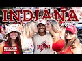 Indiana university  buzzin across america