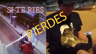 videos de risa 2020 - videos de risa 2020 😂 videos graciosas para morirse dela risa