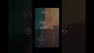 واشرقت الارض بنور ربها اكتب شي تؤجر عليه باذن لله