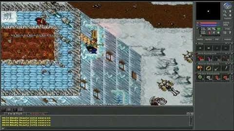 Tibia Bot Kill in Non PvP #45 "125 ek"