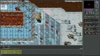 Tibia Bot Kill in Non PvP #45 125 ek