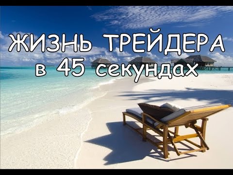 Жизнь трейдера в