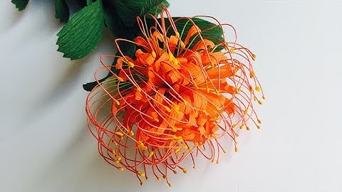 ABC TV | How To Make Leucospermum Paper Flower From Crepe Paper - Craft Tutorial