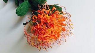 ABC TV | How To Make Leucospermum Paper Flower From Crepe Paper - Craft Tutorial