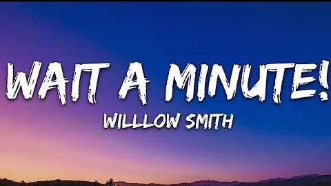 Willow Smith - Wait A Minute! ( lyrics )