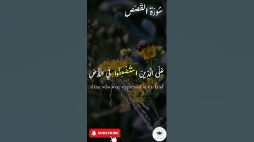 اكتب شيء تؤجر عليه 🤍 🤲🏻 #quran #اسلام #قرآن #راحة_نفسية #سورة_القصص