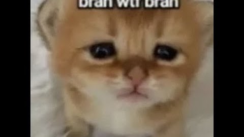 *BEST* FREE DAHOOD AIMLOCK SCRIPT (WORKS ON SOLARA) STARS⭐ USE (2024 PASTEBIN)