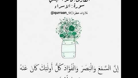 سورة الإسراء ماهر المعيقلي حالات واتس اب