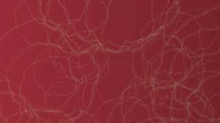 Loopable Colorful Abstract Looping Trippy  Background Fluid Vibrant 4K Motion Visual Seamless
