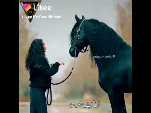 حالات واتس اب حزين وحدي في أيام ياللي جايه شايف طريق ولاحد معي ممكن اشترك وعجاب 