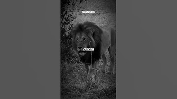 There is only one way to avoid criticism… #motivation #shorts #discipline #mindset