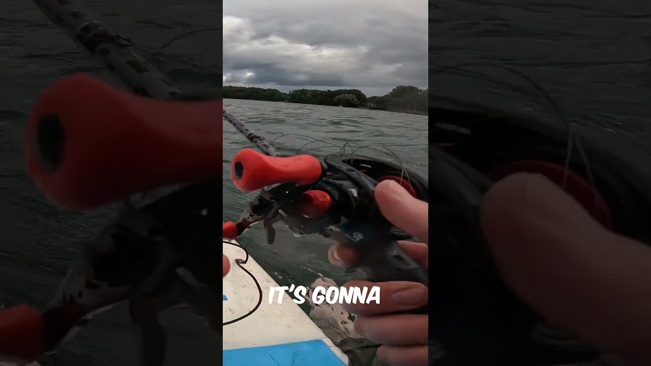 WHY YOU SHOULD SWITCH TO A BAITCASTER Fishing Shorts