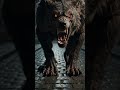 Werewolf Dinner