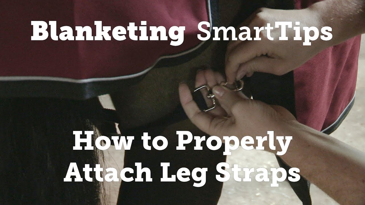 Video on How to Properly Attach Horse Blanket Leg Straps