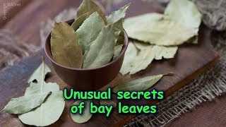 Unusual Secrets Of Bay Leaves