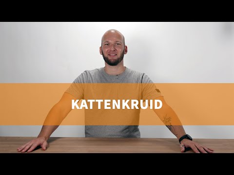 Video: Kattekruid: Waarvoor Is Dit, Waar Dit Groei, 'n Beskrywing Van Die Plant, Toepassingsfunksies, Kan Dit Tuis Gekweek Word, Foto