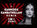 Kannodu kanbathellam  konfused kid remix