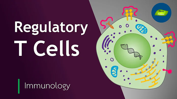 Roles of Regulatory T Cells | Immunology | Immune System | Basic Science Series - 天天要聞