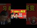 习近平最痛心的叛变，竟是跟随了20年的贴身秘书？ #习近平 #张又侠 #钟绍军